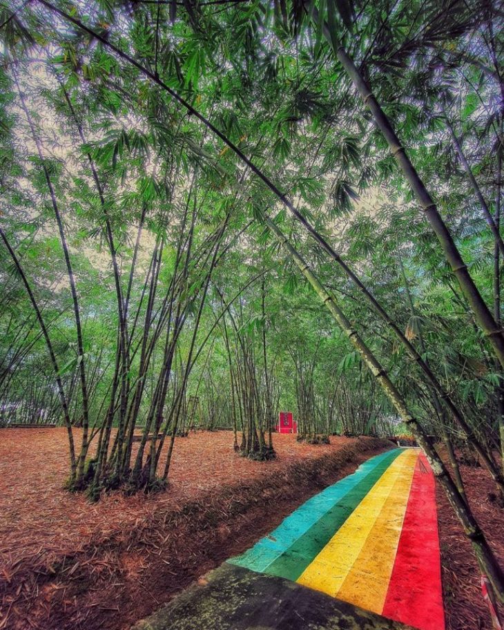 Putuo Villager Rainbow Path