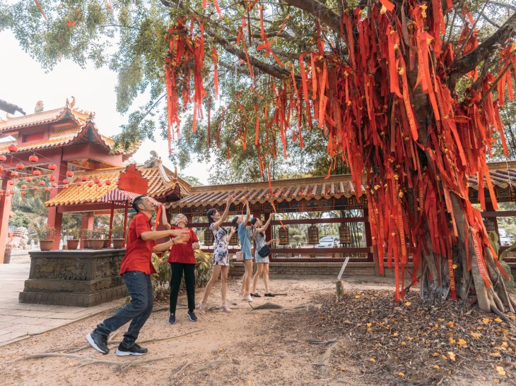 putuo-village-wishing tree